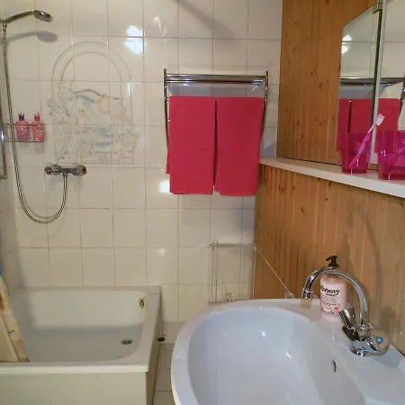 Apartment Haus Merian *